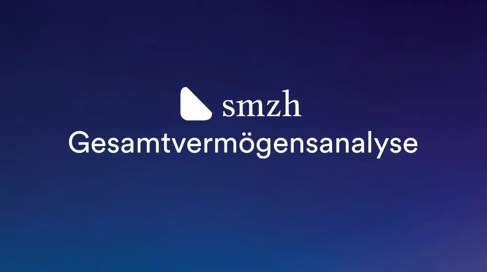 Gesamtvermögensanalyse Video