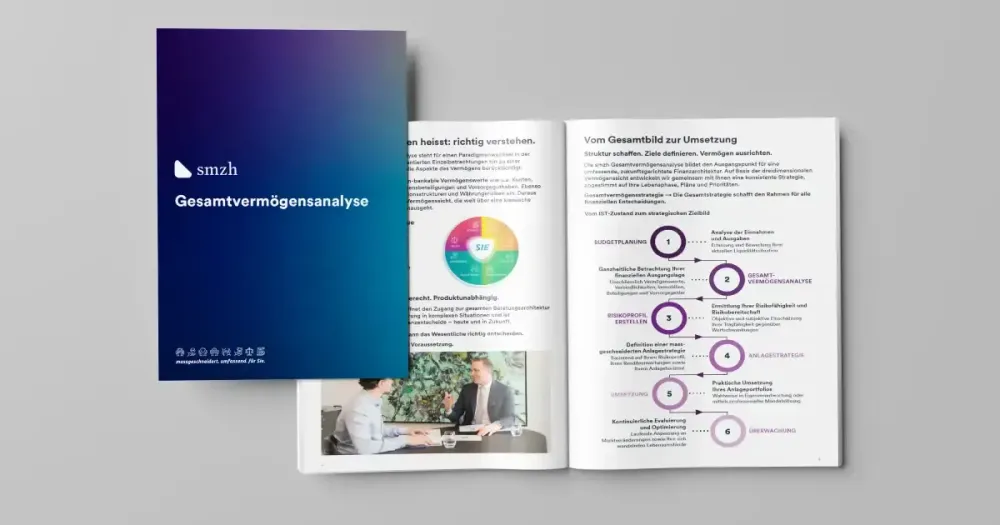 Gesamtvermögensanalyse PDF Brochure